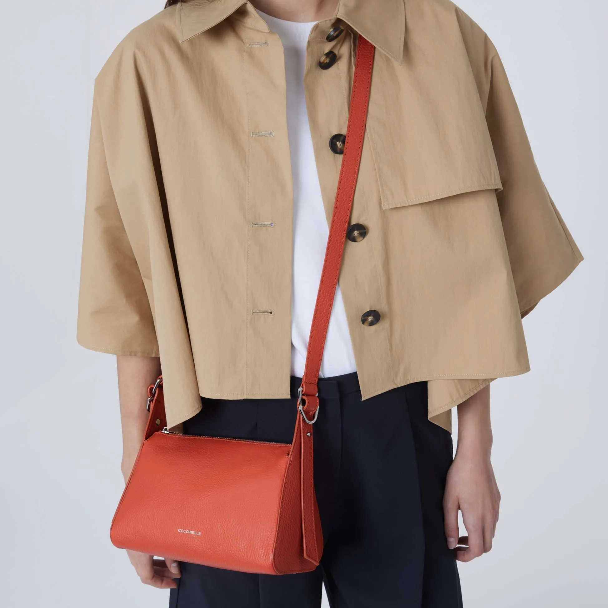 Coccinelle Bishop
