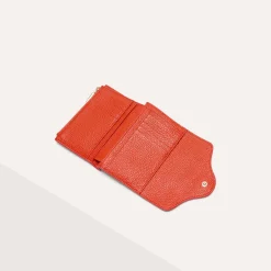 Coccinelle C-me